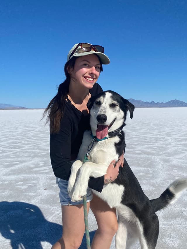 Traveler with their dog